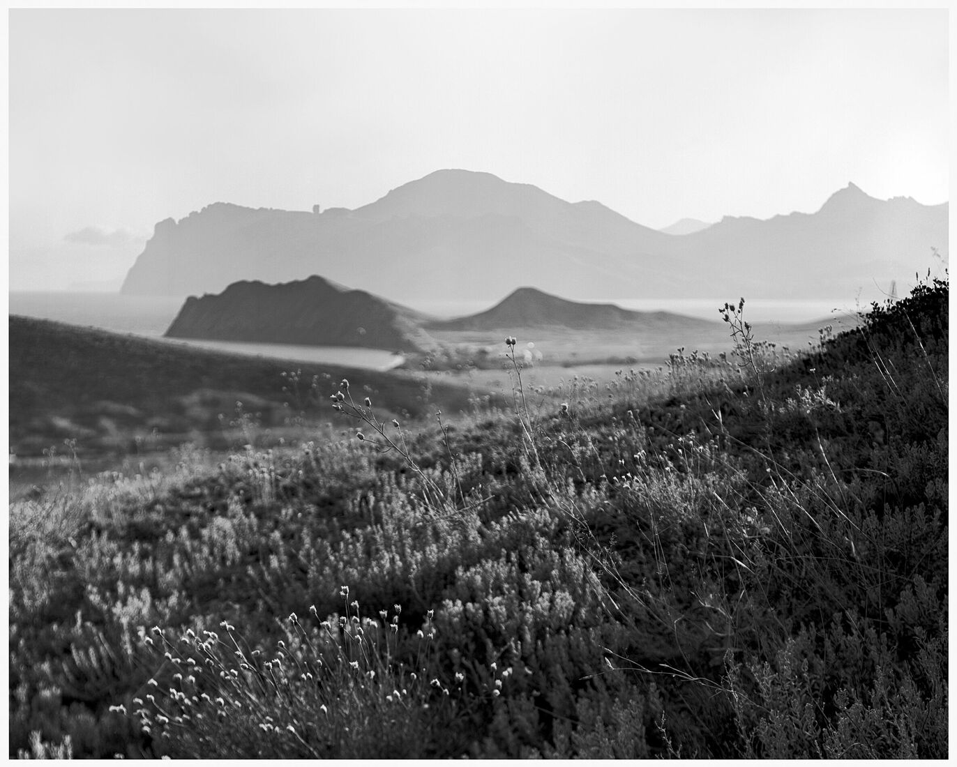 Photographer Oleg Chernous. b&w 4x5. Crimea, Quiet Bay 2015