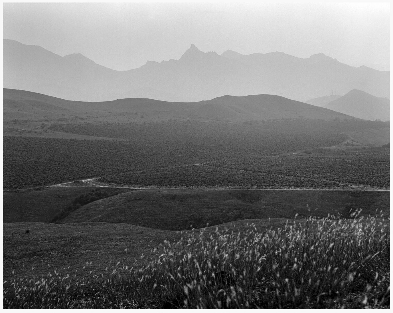 Photographer Oleg Chernous. b&w 4x5. Crimea, Koktebel 2015