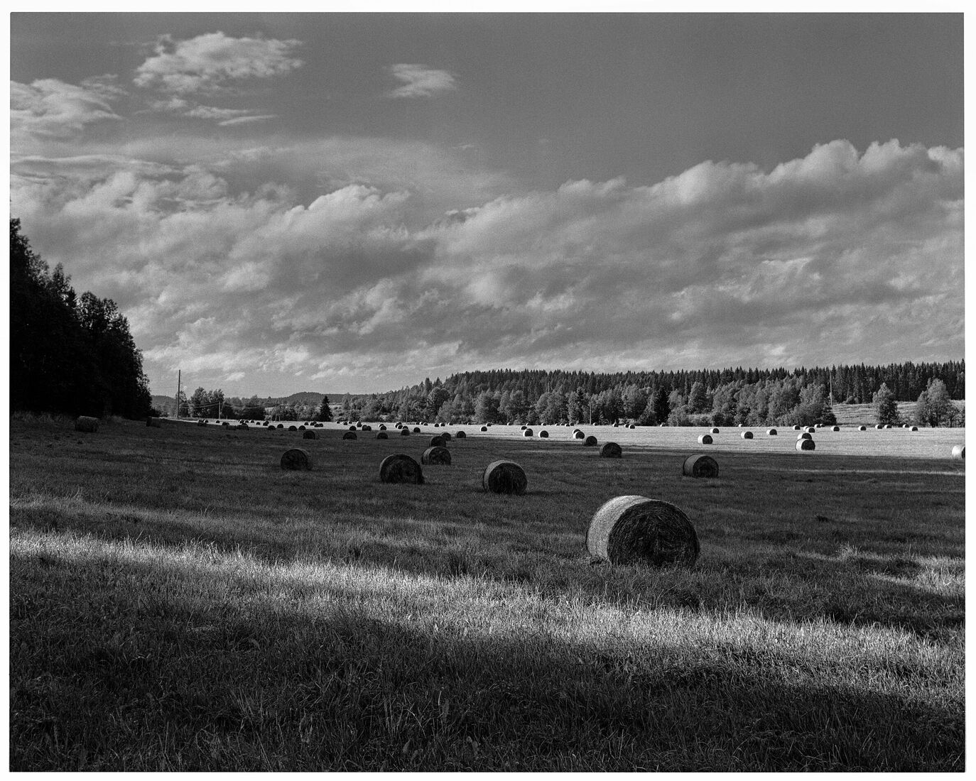 Photographer Oleg Chernous. b&w 4x5. Karelia 2014