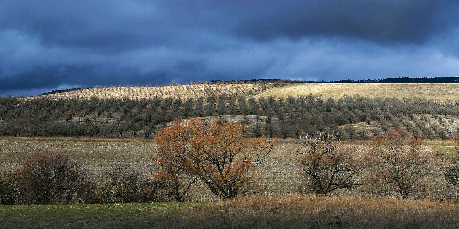 Фотограф Олег Черноус. панорама. Крым, январь 2012