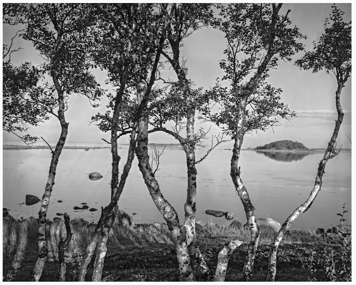 Photographer Oleg Chernous. b&w 4x5. Solovki, August 2014