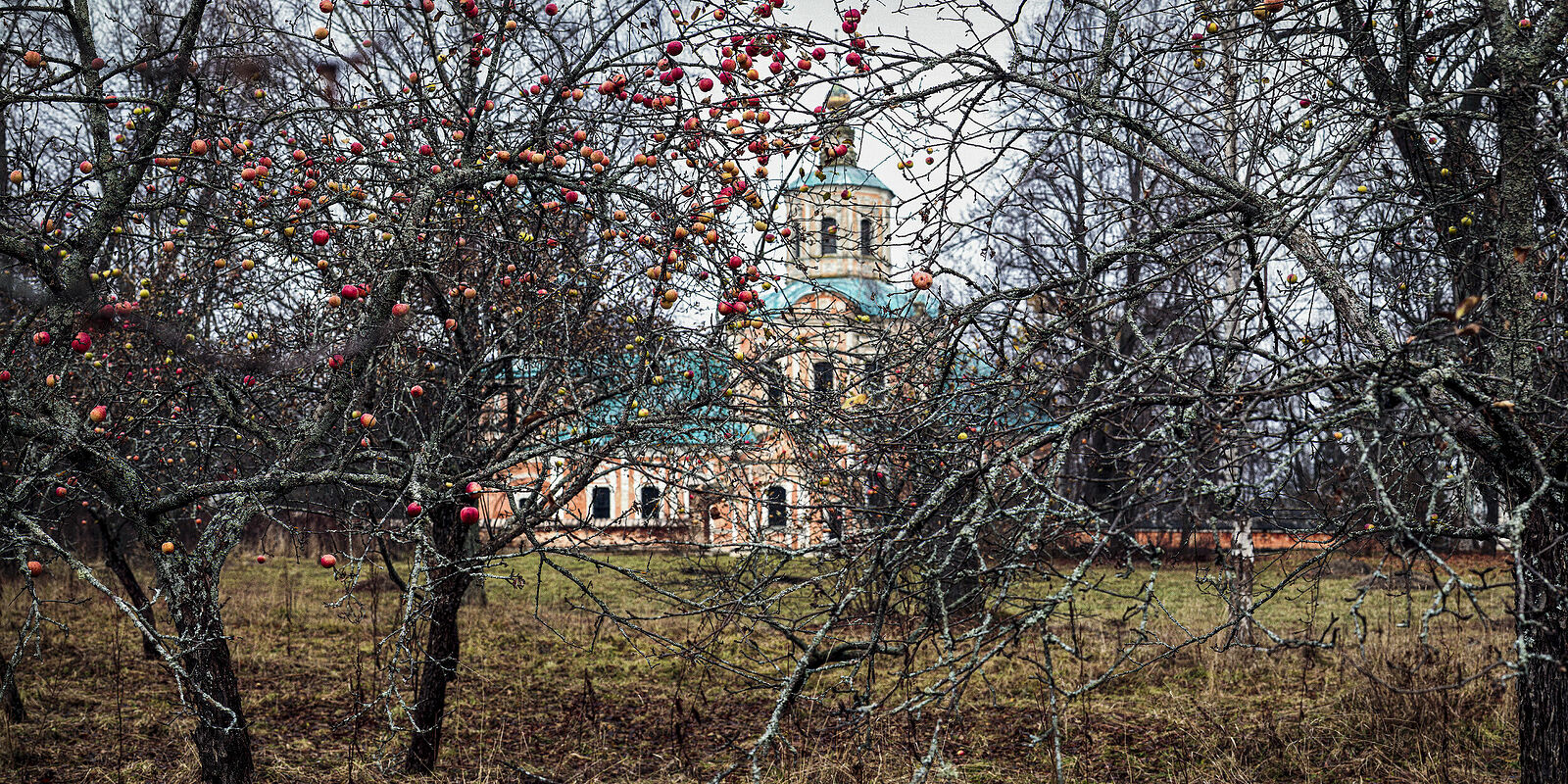 Photographer Oleg Chernous. panorama-2. Chukavino, October 2018